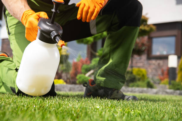 Best Pest Removal Services  in Wildwood, TN