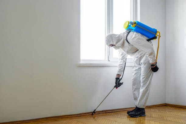 Best Pest Inspection Near Me  in Wildwood, TN